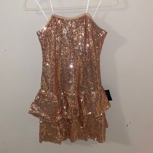 NWT size large champagne sequin dress